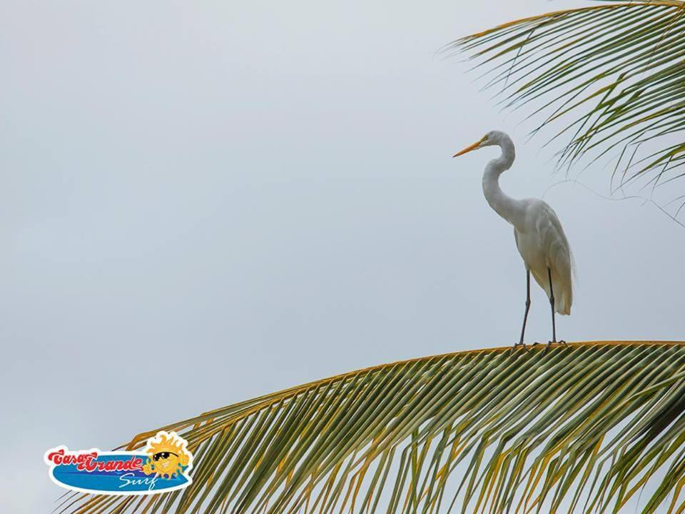 CasaGrande Surf Guachaca Exterior foto